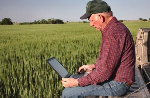 El desafío de la oficina rural: por qué la gestión de precisión es el nuevo motor del margen agropecuario