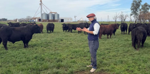 “La isla es un campo más”: así hace Kiko Nazar para tener excelentes resultados produciendo carne en Entre Ríos