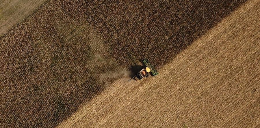La suba de precios traccionó la venta de los productores: la comercialización de granos creció un 40% esta semana