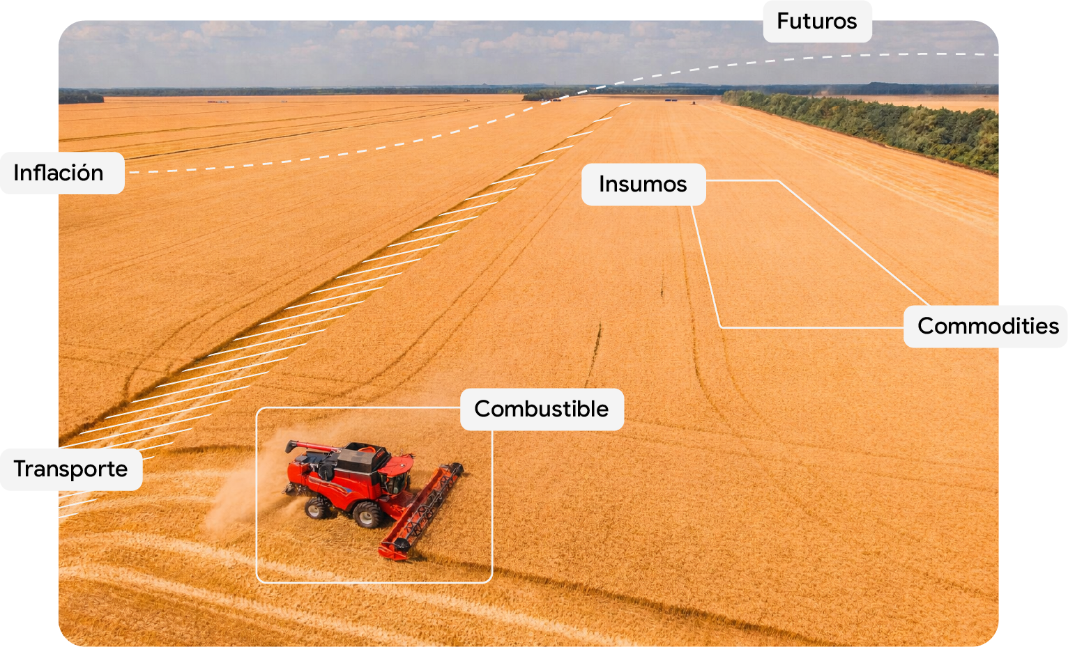 Campo y Cosecha
