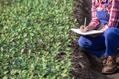 Glosario Agropecuario